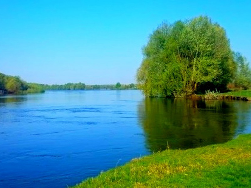 Земельна ділянка на березі ріки Десна