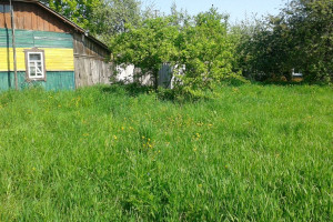 Продам будинок в центрі живописного, Екологічно чистого селища Короп (Чернігівської області)
