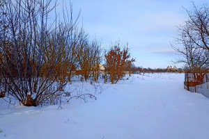 Земельні ділянка на березі озера в селі Брусилов