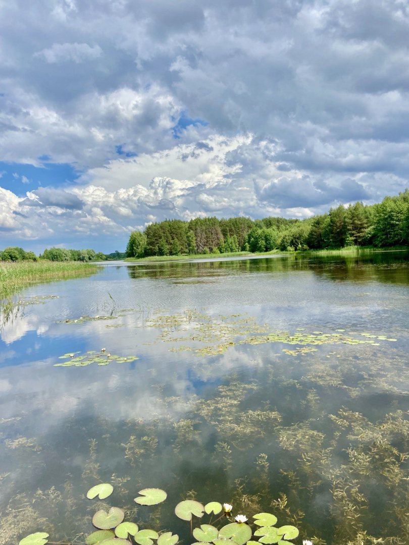 Видовий Будинок, 30хв від Чернігова! 1 ЛІНІЯ води та Лісу!. Фото - 11