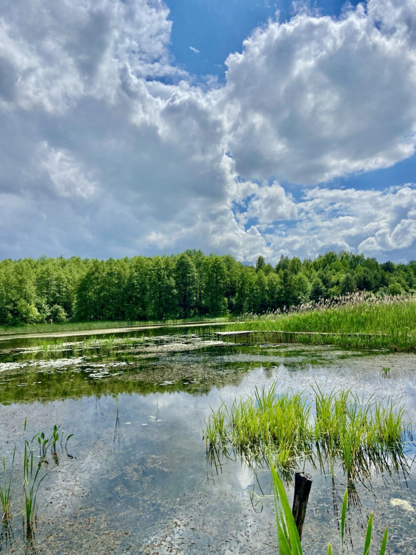 Видовий Будинок, 30хв від Чернігова! 1 ЛІНІЯ води та Лісу!. Фото - 1