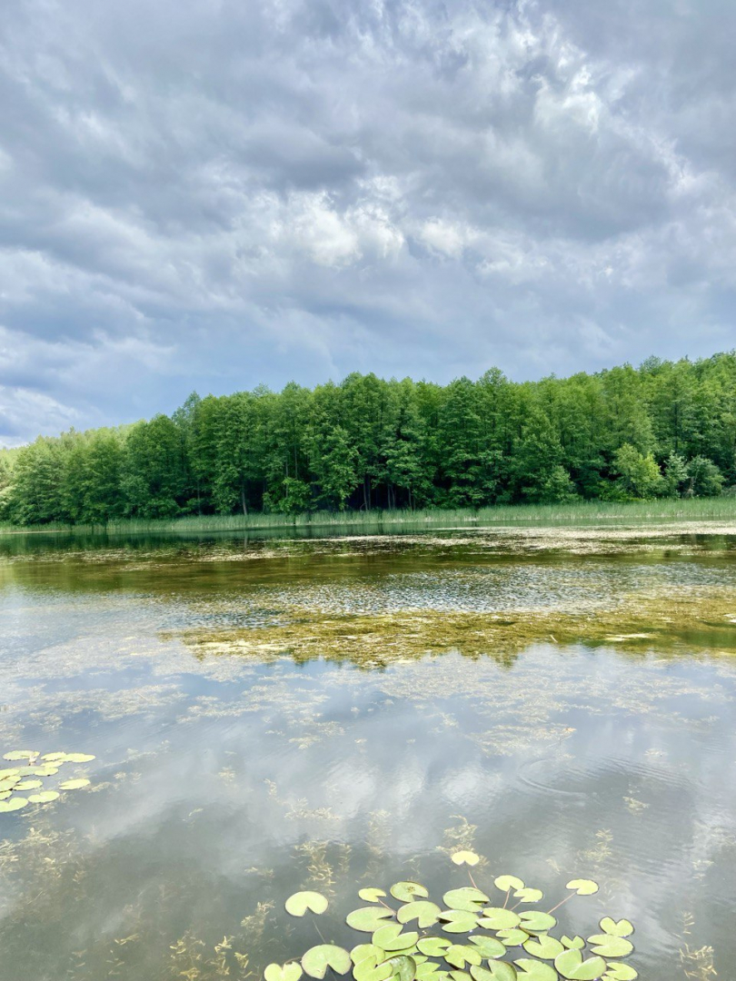 Видовий Будинок, 30хв від Чернігова! 1 ЛІНІЯ води та Лісу!. Фото 1