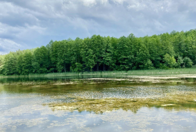 Видовий Будинок, 30хв від Чернігова! 1 ЛІНІЯ води та Лісу!