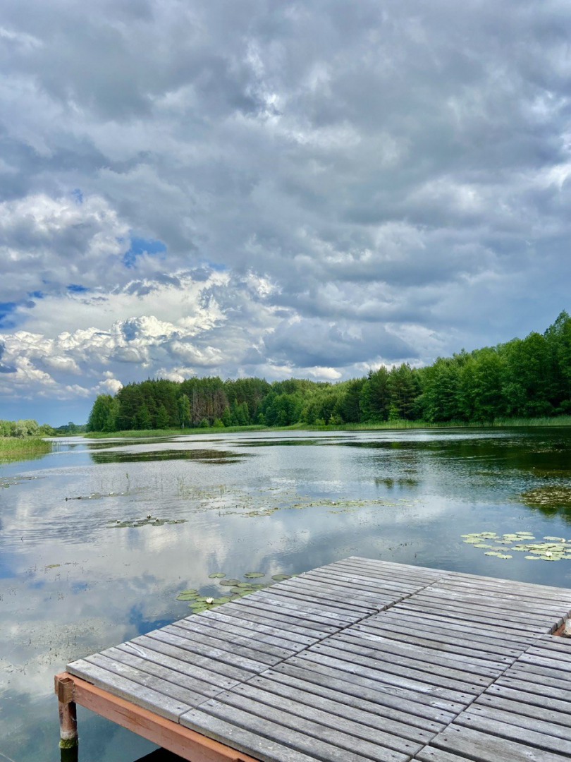 Видовий Маєток на березі річки! 1 ЛІНІЯ води та Лісу!. Фото - 21