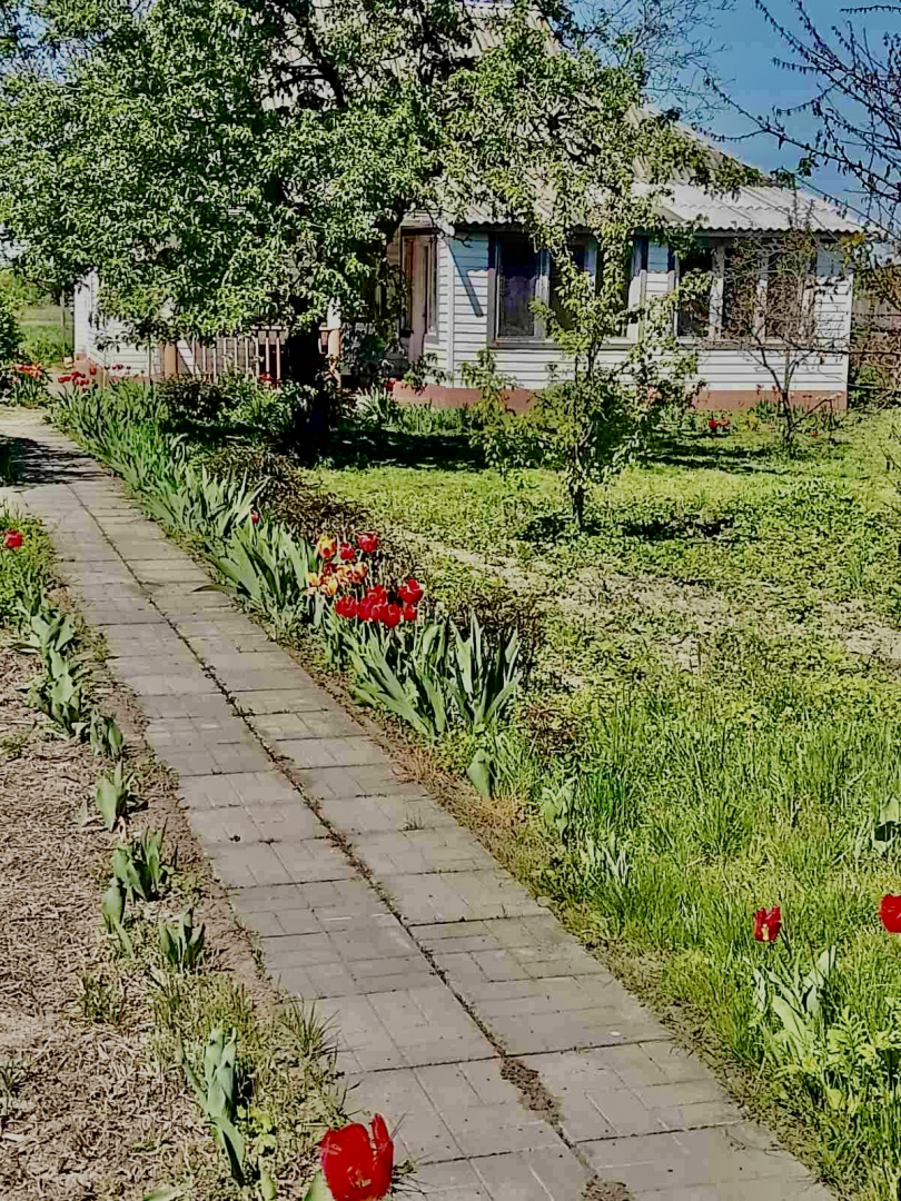Добротний будинок з усіма зручностями, с. Браниця Сертифікат. Фото - 10