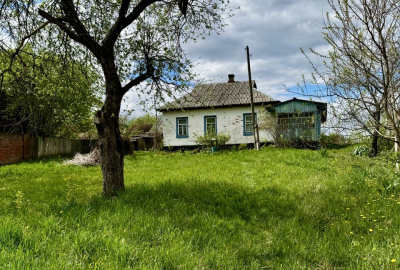 Добротна хата біля річки, смт Ріпки!