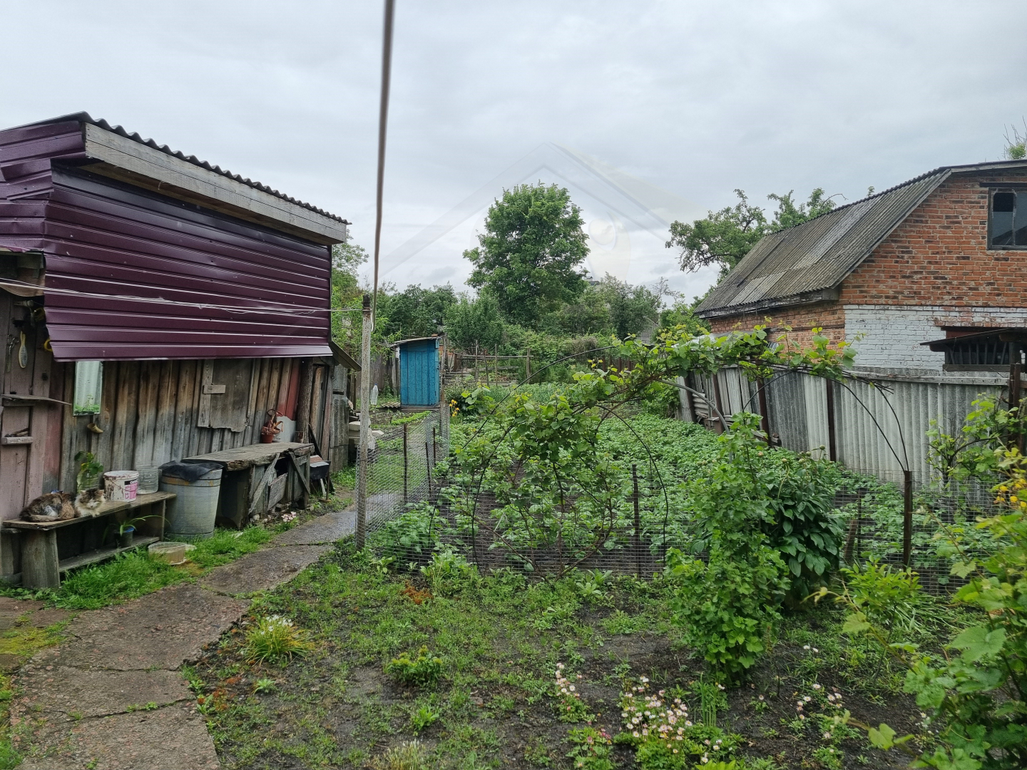 Окремий будинок 60м2 зі зручностями р-н Лісковиця. Фото - 3