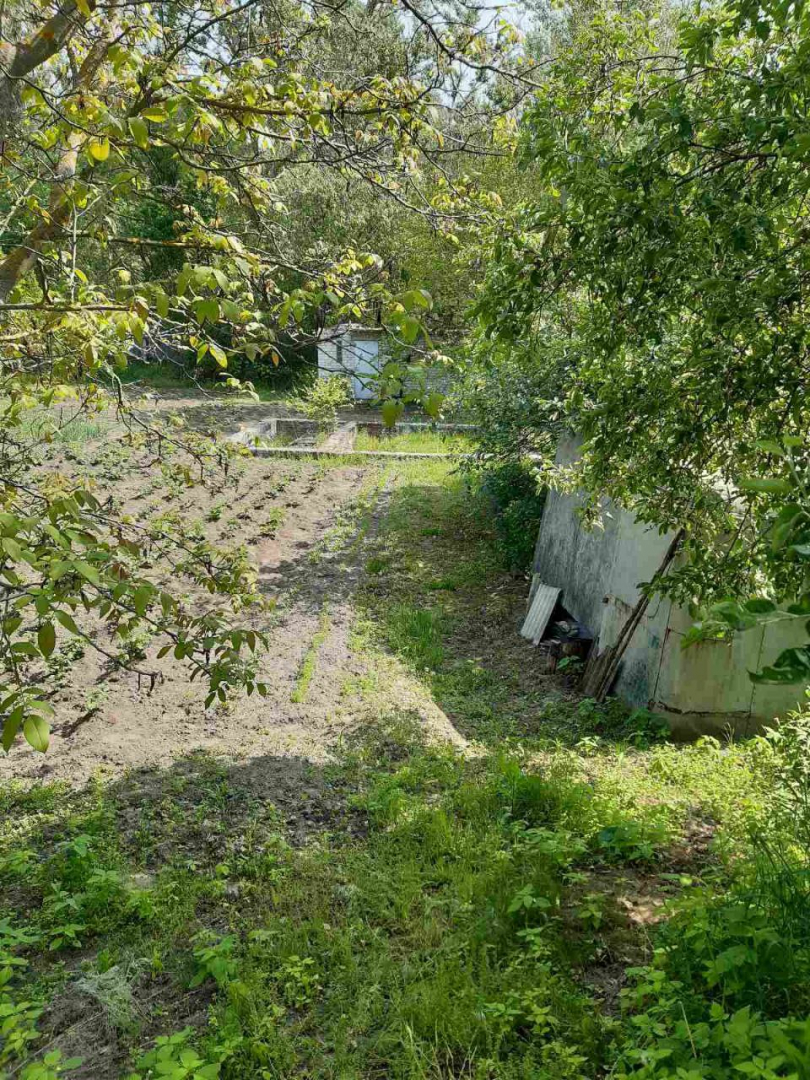 Ділянка 9 соток у садовому товаристві "Якір", приватизована. Фото - 1