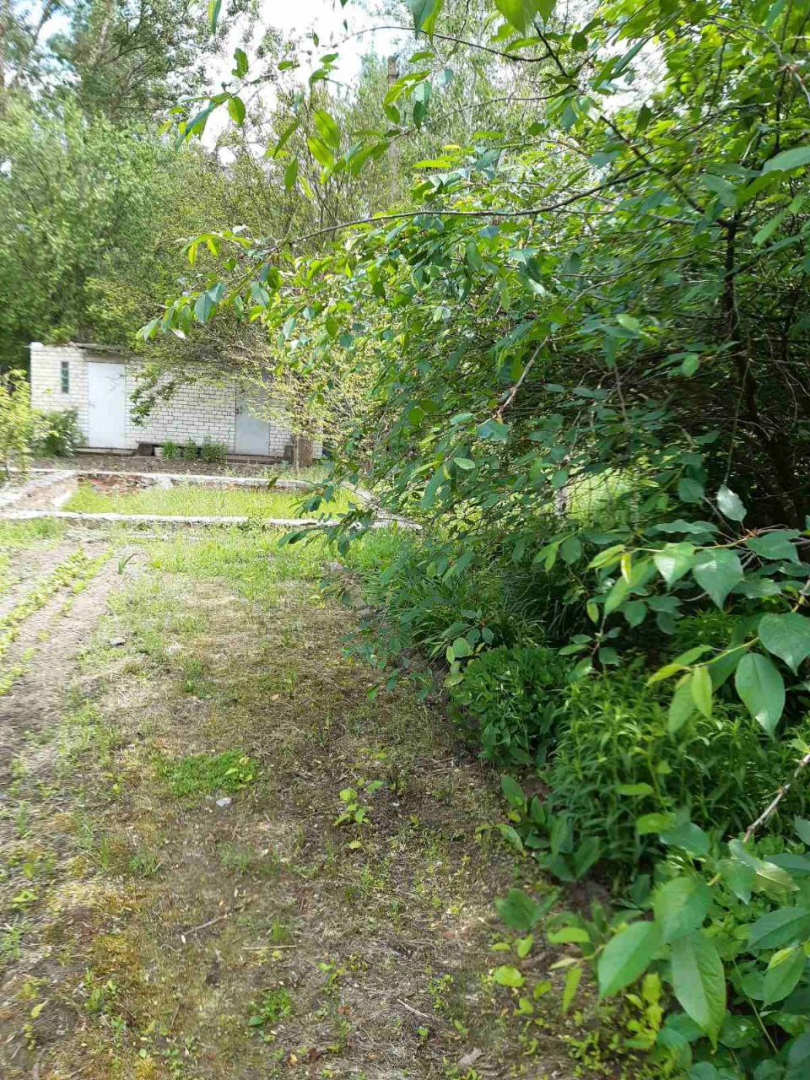 Ділянка 9 соток у садовому товаристві "Якір", приватизована. Фото - 6