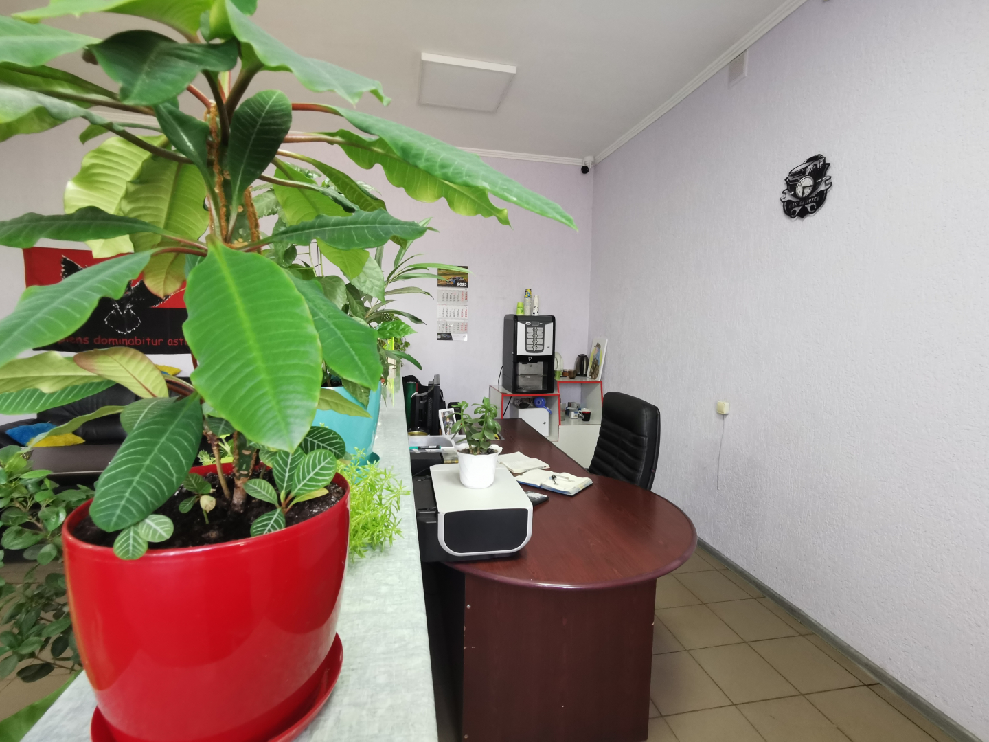 Продається діюче СТО з бізнесом і землею, р-н Сіверянки. Фото - 8