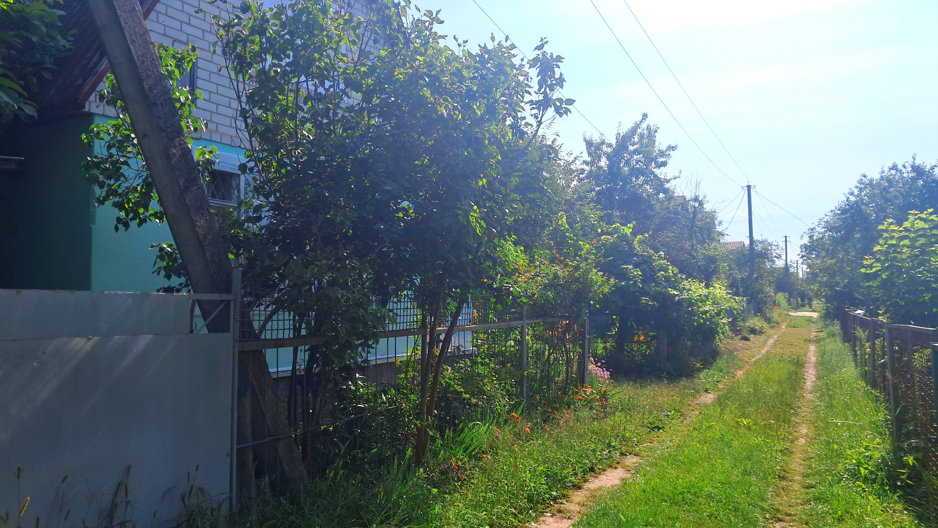 Дача що пахне спокоєм та чарівністю природи. Фото - 12