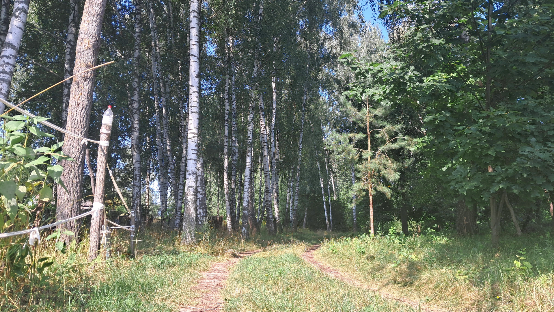 Дача що пахне спокоєм та чарівністю природи. Фото - 13