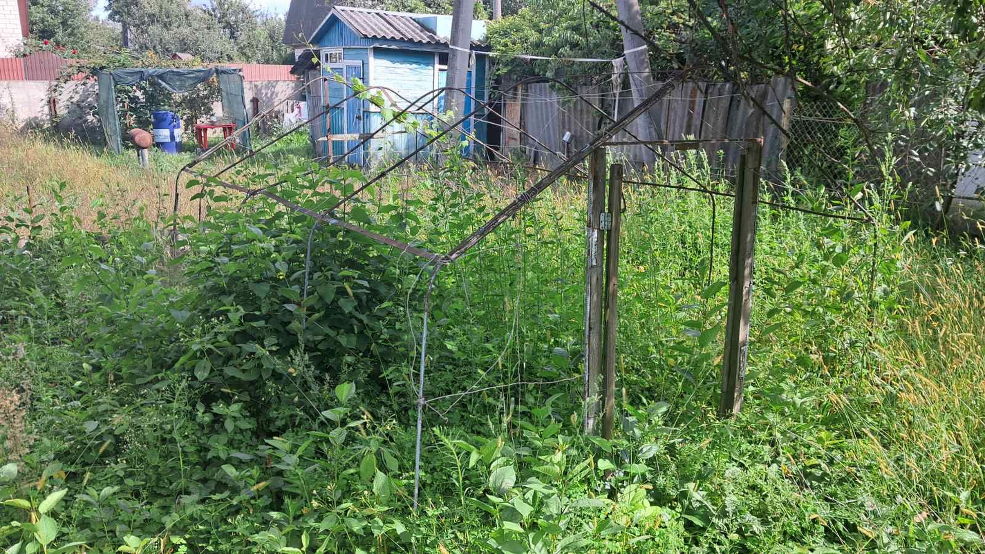 Дача у СТ Октябрське  — тиша, простір і приватна земля. Фото - 12