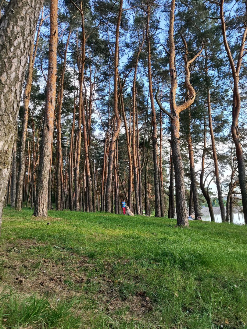 Простора 3-кімнатна квартира з гарним ремонтом. Фото - 18