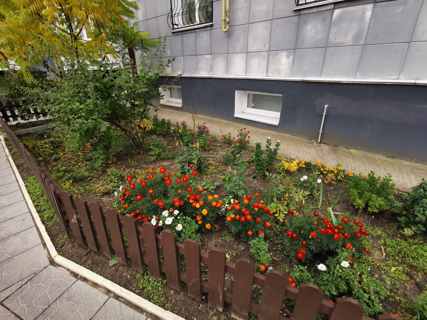 Затишна 2-кімнатна квартира в комфортному районі Чернігова. Фото - 5