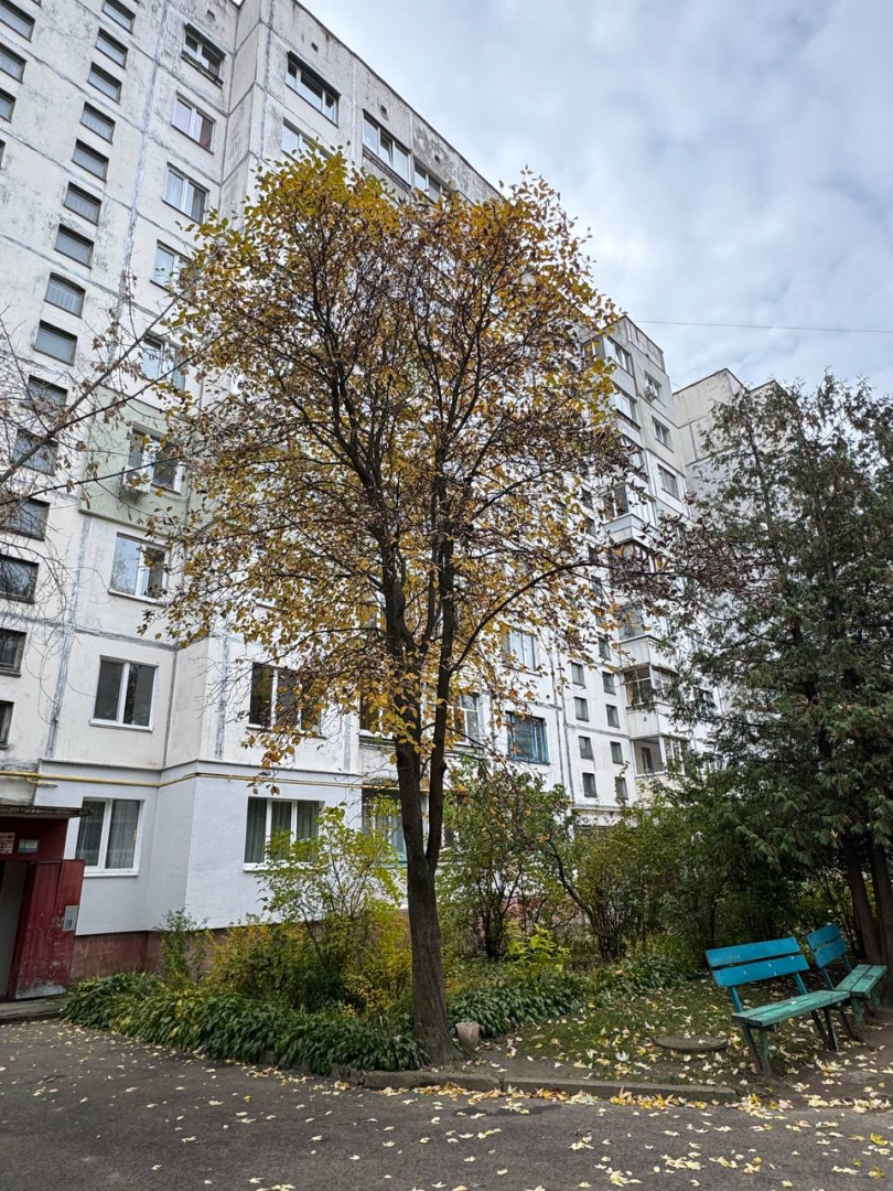 1 кімнатна квартира на Космонавтів, 18 — баланс ремонту і гарної ціни. Фото - 8