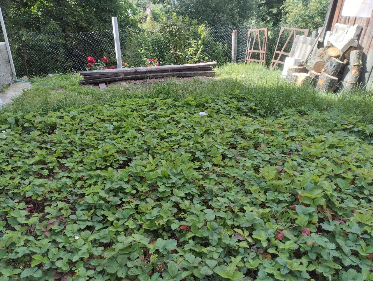 Частина цегляного будинку по вул Довженка (Толстого)!. Фото - 7