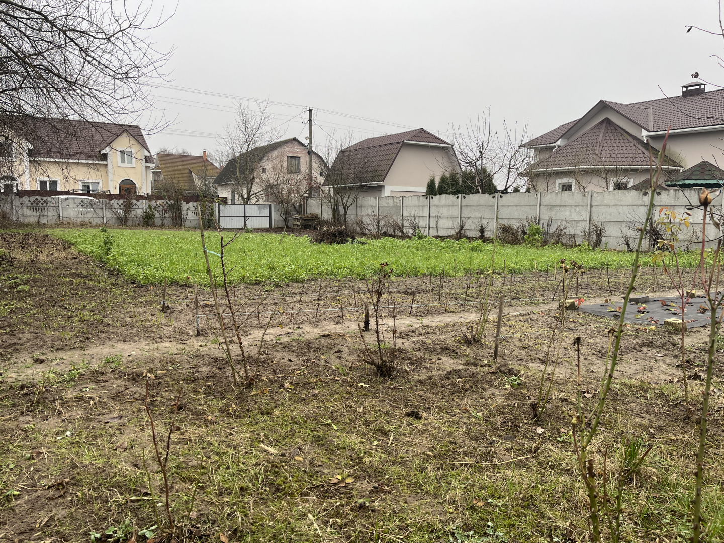 Продається приватизована ділянка землі 10 соток, Старий Білоус. Фото - 6