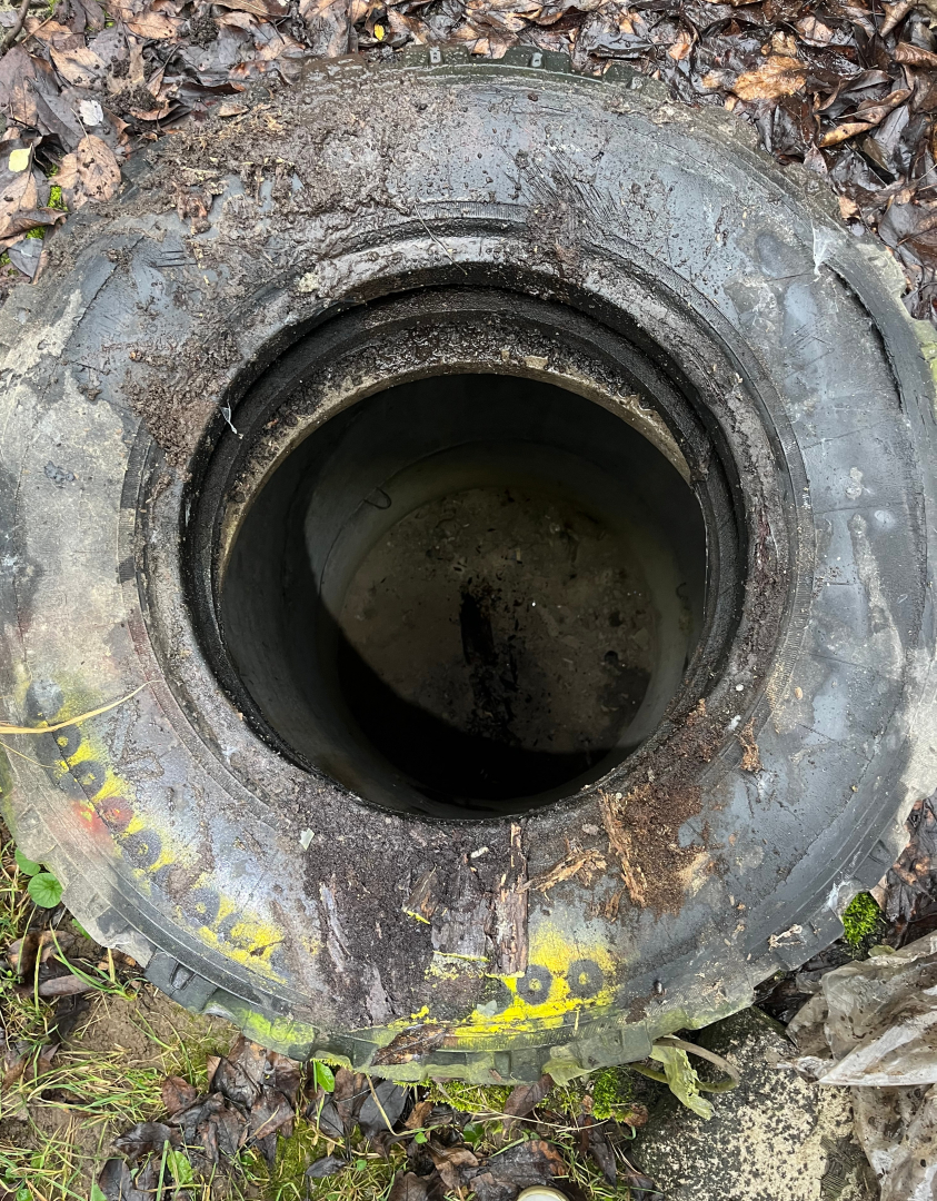 Продається приватизована ділянка землі 10 соток, Старий Білоус. Фото - 11