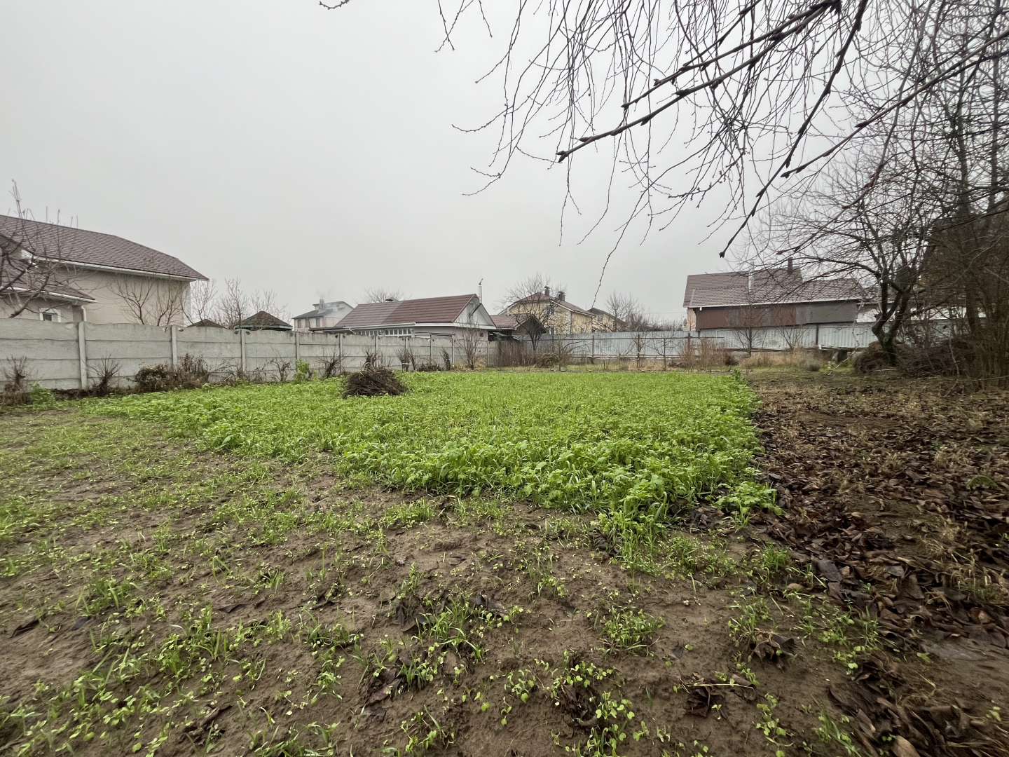 Продається приватизована ділянка землі 10 соток, Старий Білоус. Фото - 3