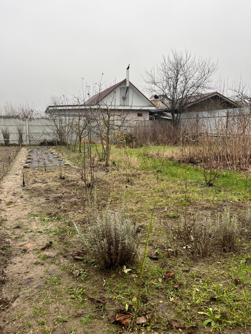 Продається приватизована ділянка землі 10 соток, Старий Білоус. Фото - 5