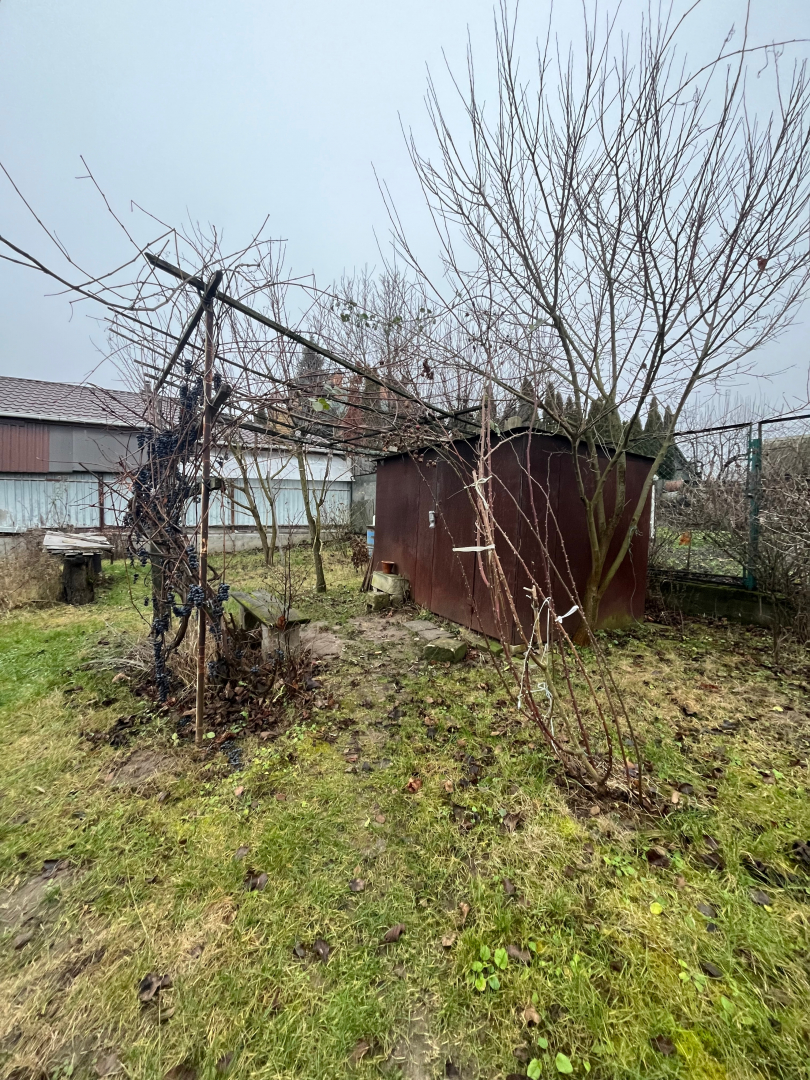 Продається приватизована ділянка землі 10 соток, Старий Білоус. Фото - 4