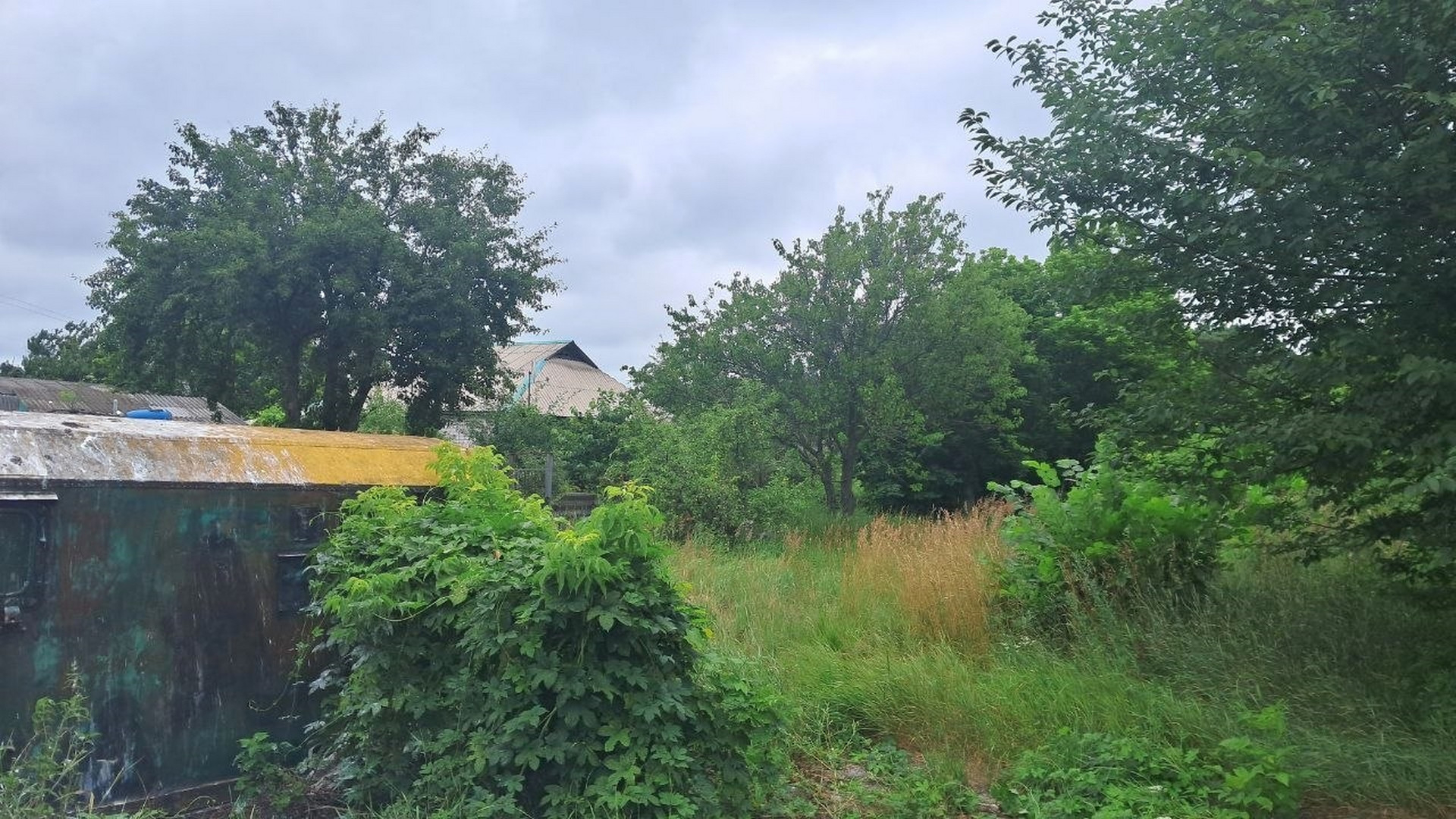 🌲🏡 Земельна ділянка для будинку мрії біля лісу. Фото - 1