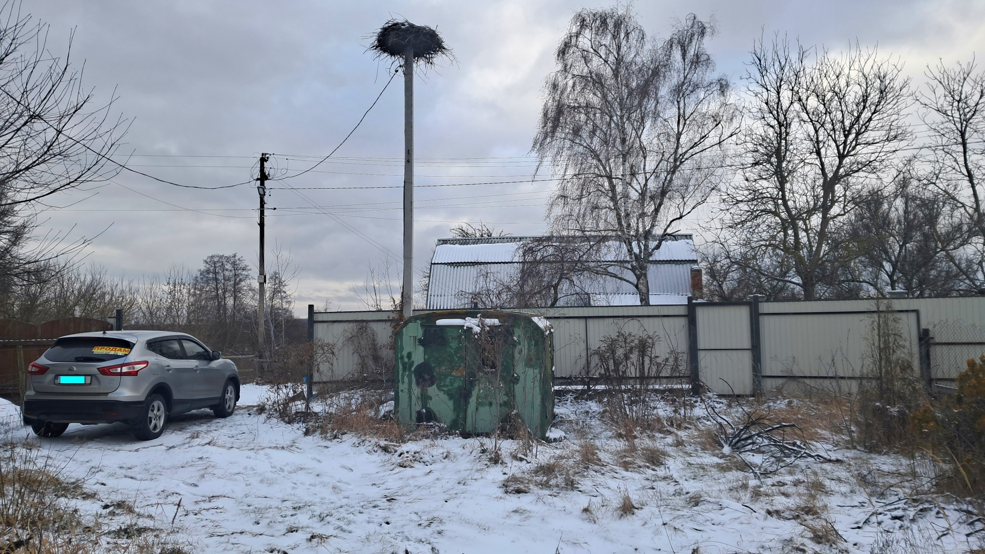 🌲🏡 Земельна ділянка для будинку мрії біля лісу. Фото - 4