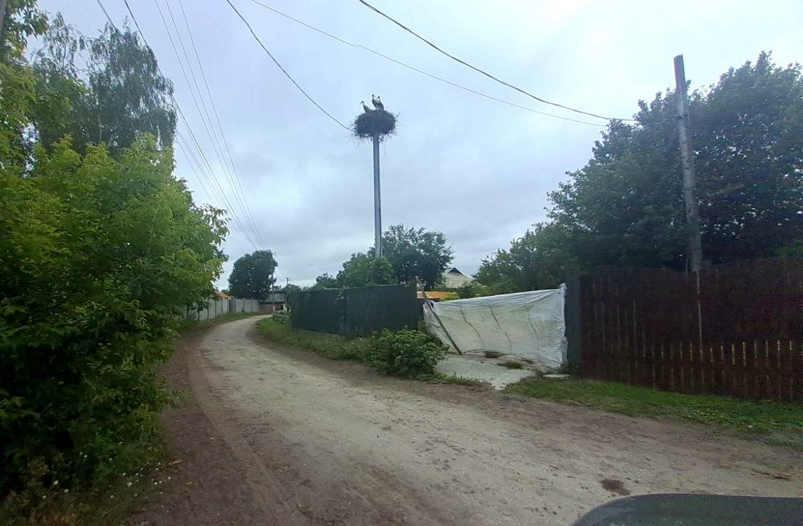🌲🏡 Земельна ділянка для будинку мрії біля лісу. Фото - 7