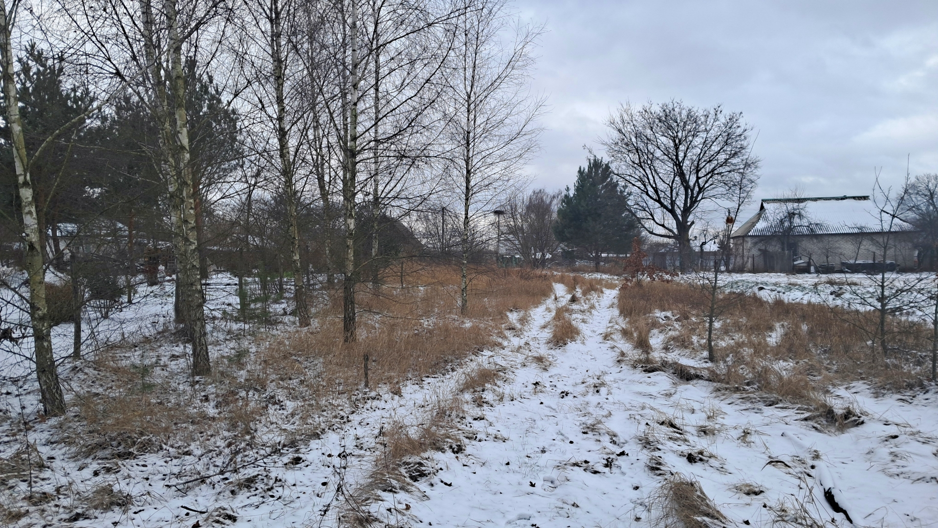 🌲🏡 Земельна ділянка для будинку мрії біля лісу. Фото - 7