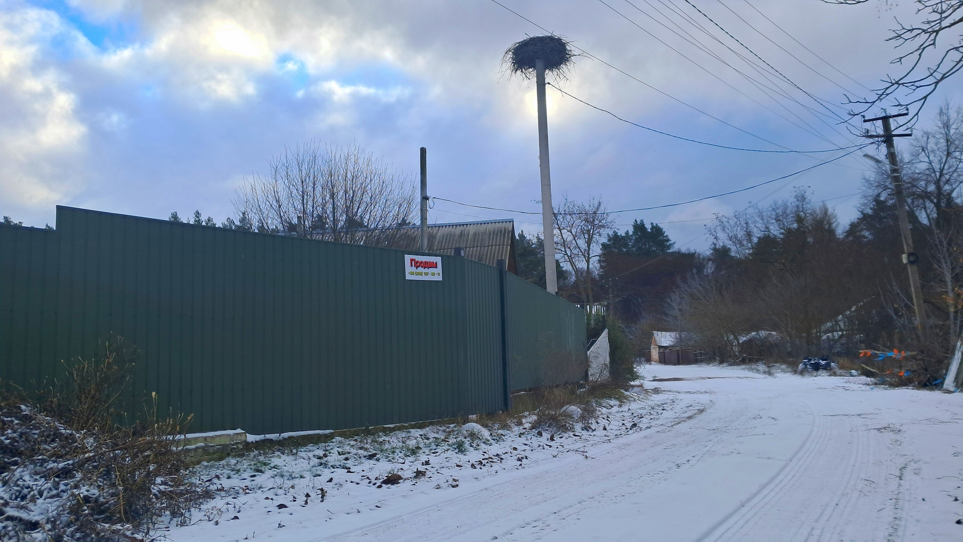 🌲🏡 Земельна ділянка для будинку мрії біля лісу. Фото 1