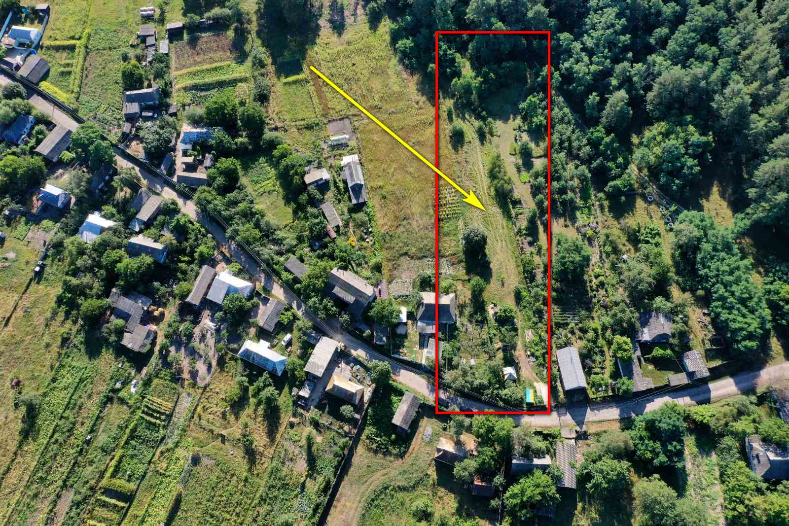 🌲🏡 Земельна ділянка для будинку мрії біля лісу. Фото - 1