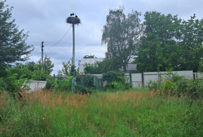 🌲🏡 Земельна ділянка для будинку мрії біля лісу