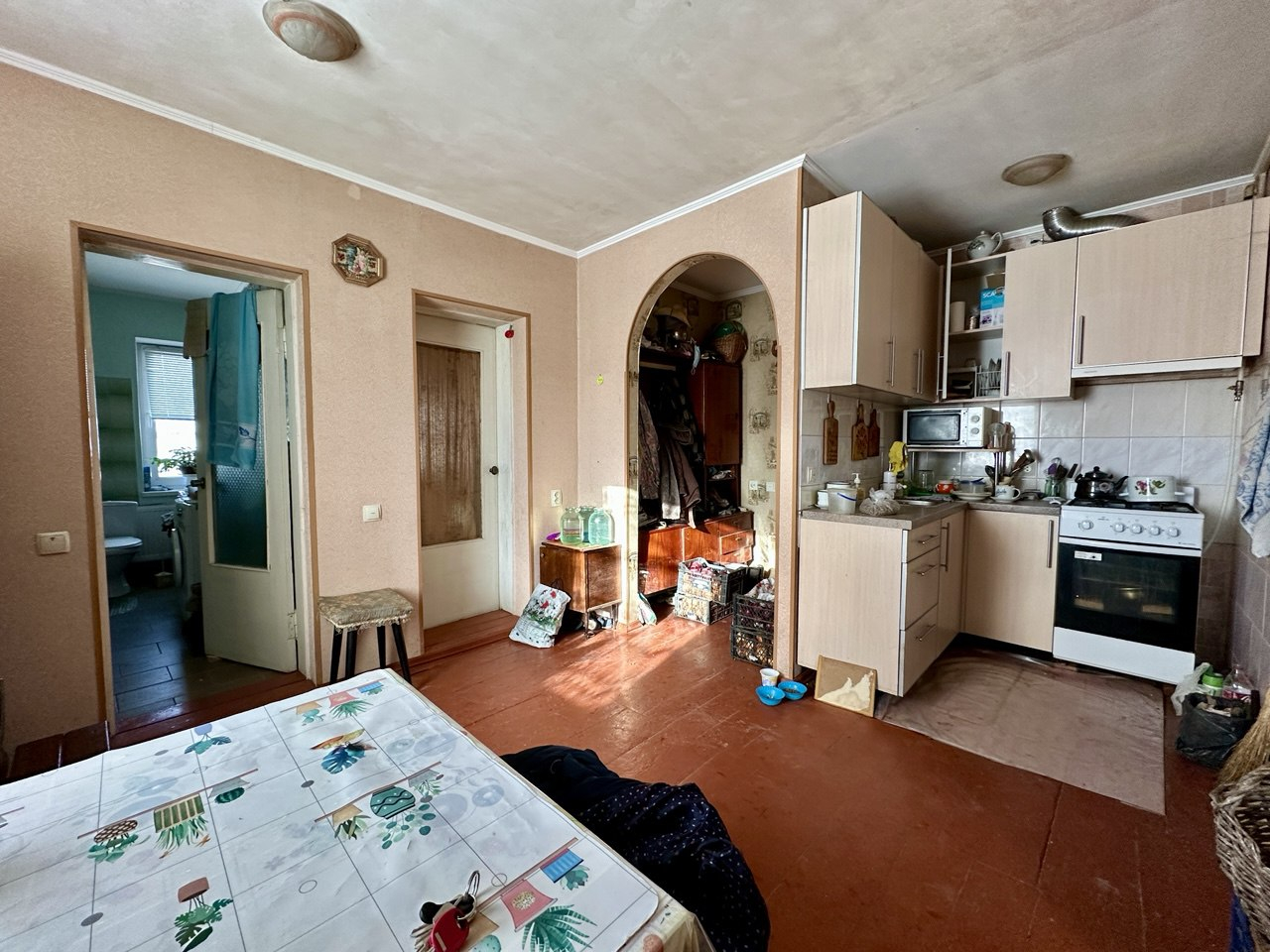 Продаж будинку,село Петрушин 63м2,25соток меблі+техніка,Сертифікат. Фото - 3