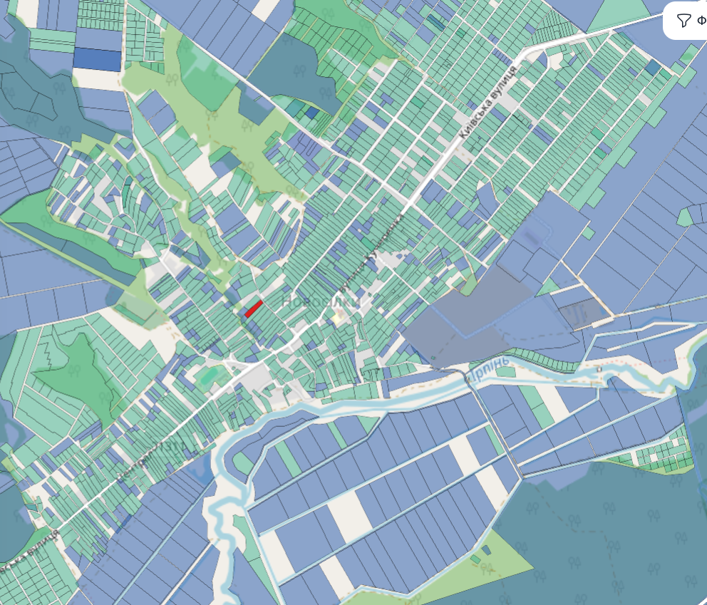 Продаж будинок і земля с Новосілки Фастівський ( Макарівський) рн. Фото - 15