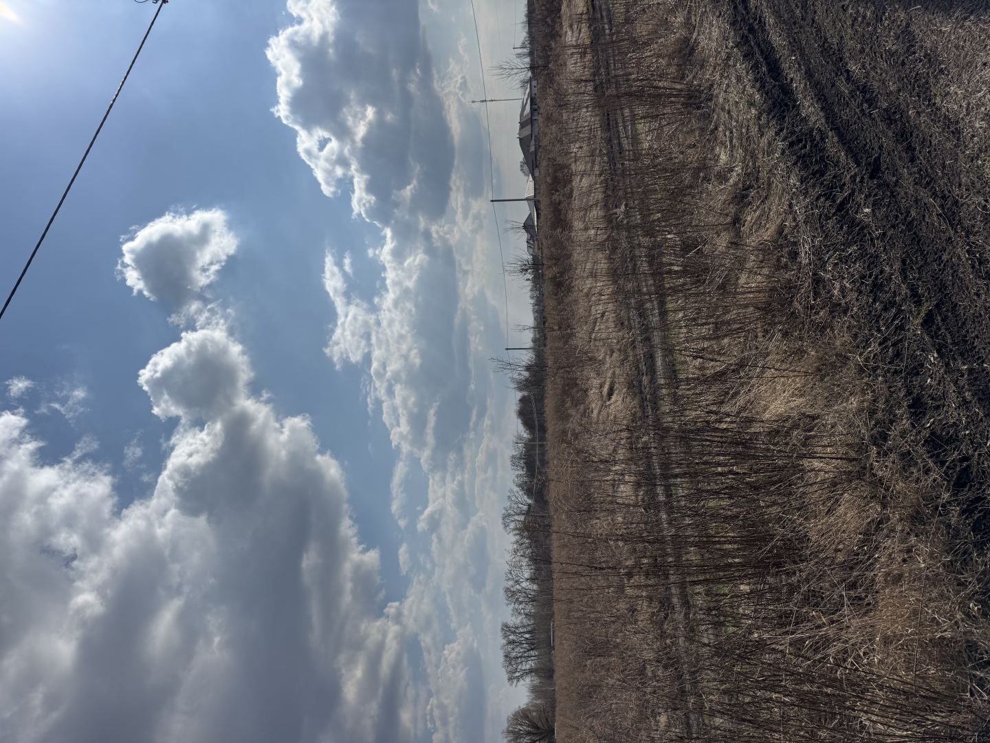 19,3 сотки під забудову річка Десна | с. Рожни | Без комісії | Тиха локація. Фото - 6