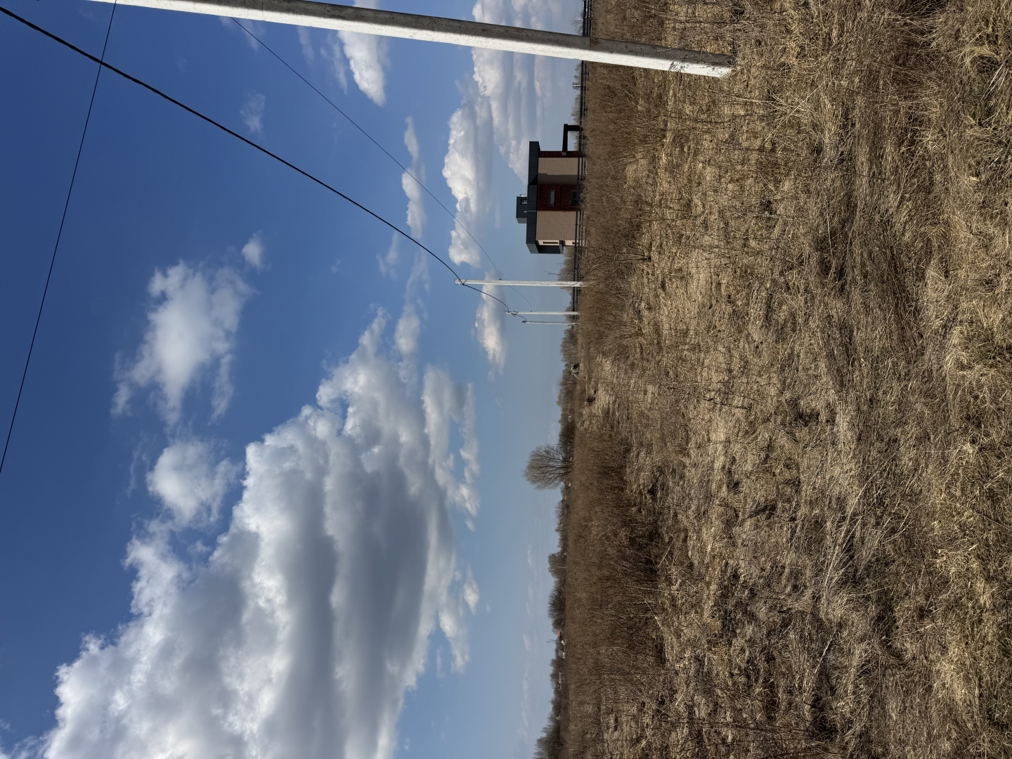 19,3 сотки під забудову річка Десна | с. Рожни | Без комісії | Тиха локація. Фото - 2