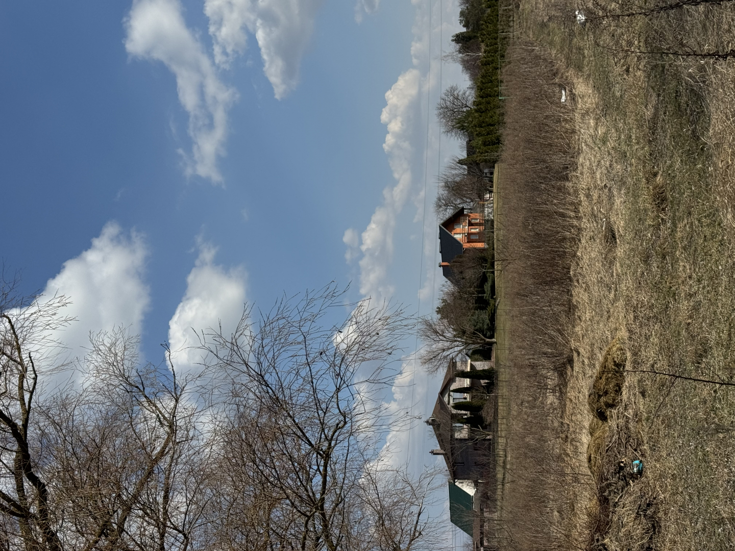 19,3 сотки під забудову річка Десна | с. Рожни | Без комісії | Тиха локація. Фото - 4