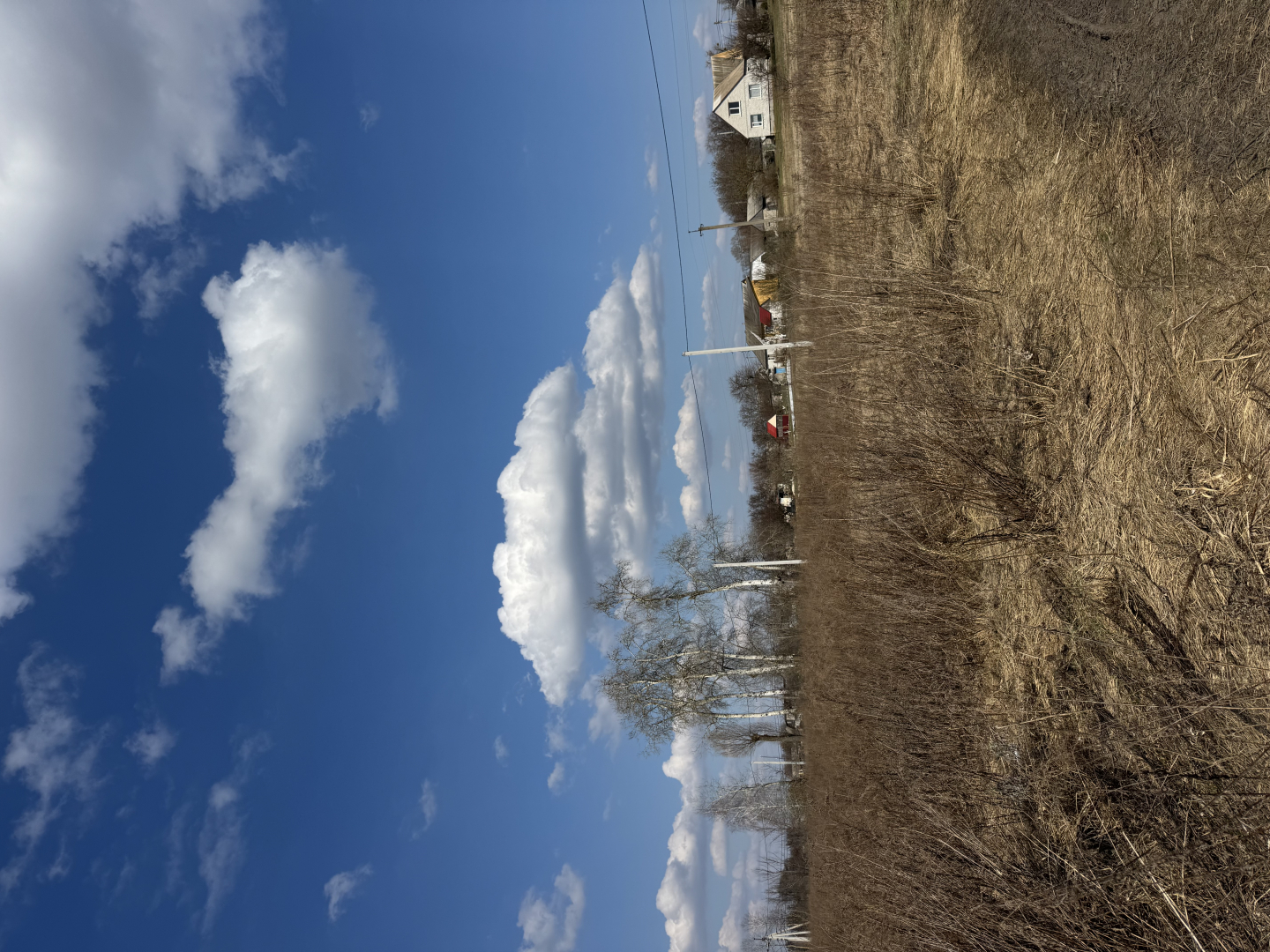 19,3 сотки під забудову річка Десна | с. Рожни | Без комісії | Тиха локація. Фото - 3