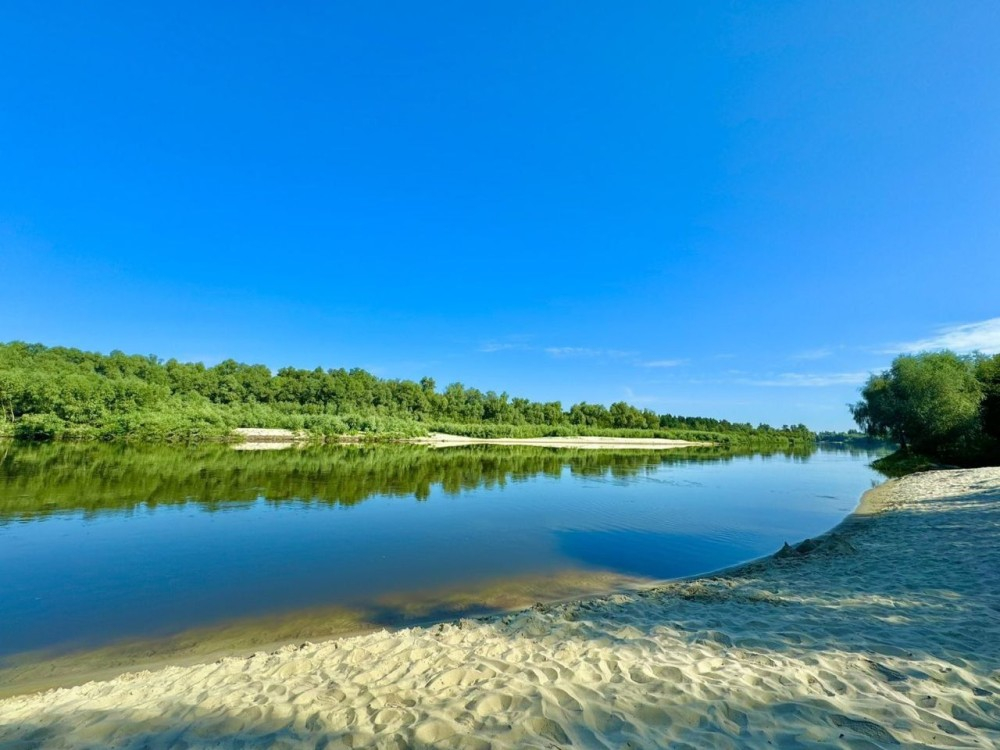 19,3 сотки під забудову річка Десна | с. Рожни | Без комісії | Тиха локація. Фото 1