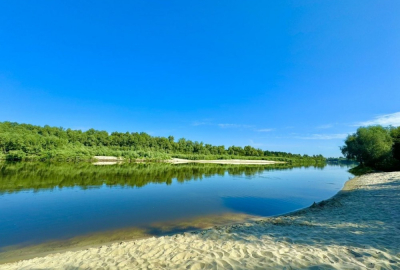 19,3 сотки під забудову річка Десна | с. Рожни | Без комісії | Тиха локація