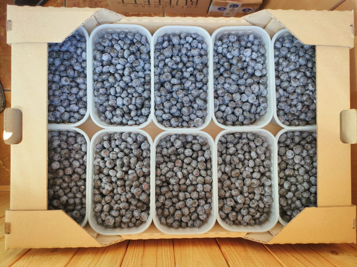 Продам діючу екоферму лохини + 64 сотки приватної землі біля Чернігова. Фото - 6