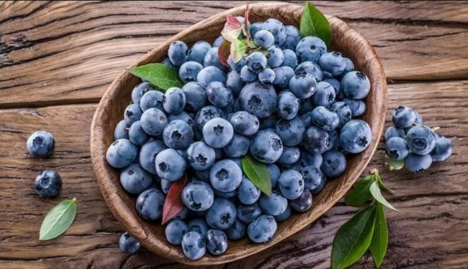 Продам діючу екоферму лохини + 64 сотки приватної землі біля Чернігова. Фото - 7