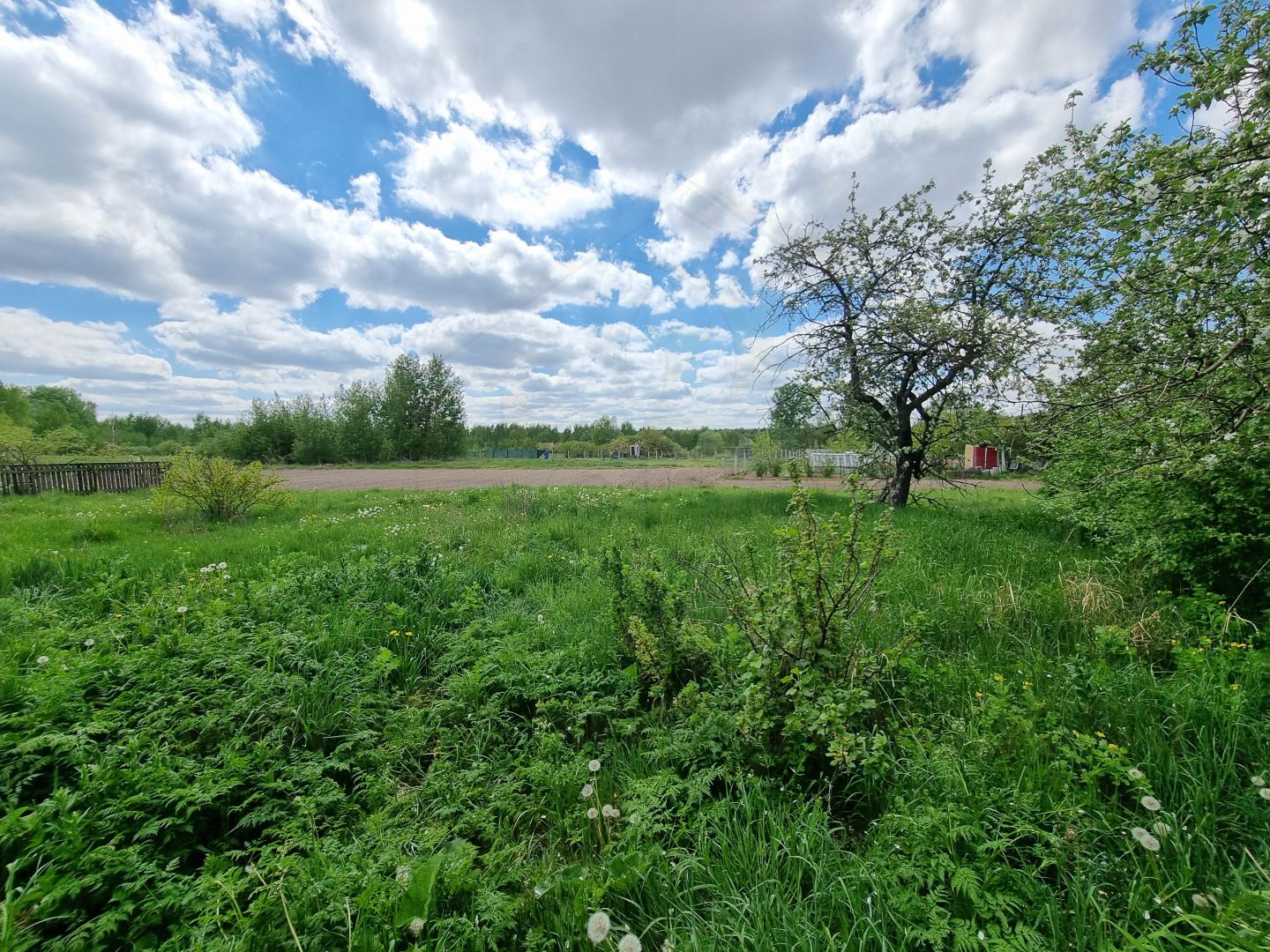 Окремий будинок на великій земельній ділянці в районі Масани. Фото - 13