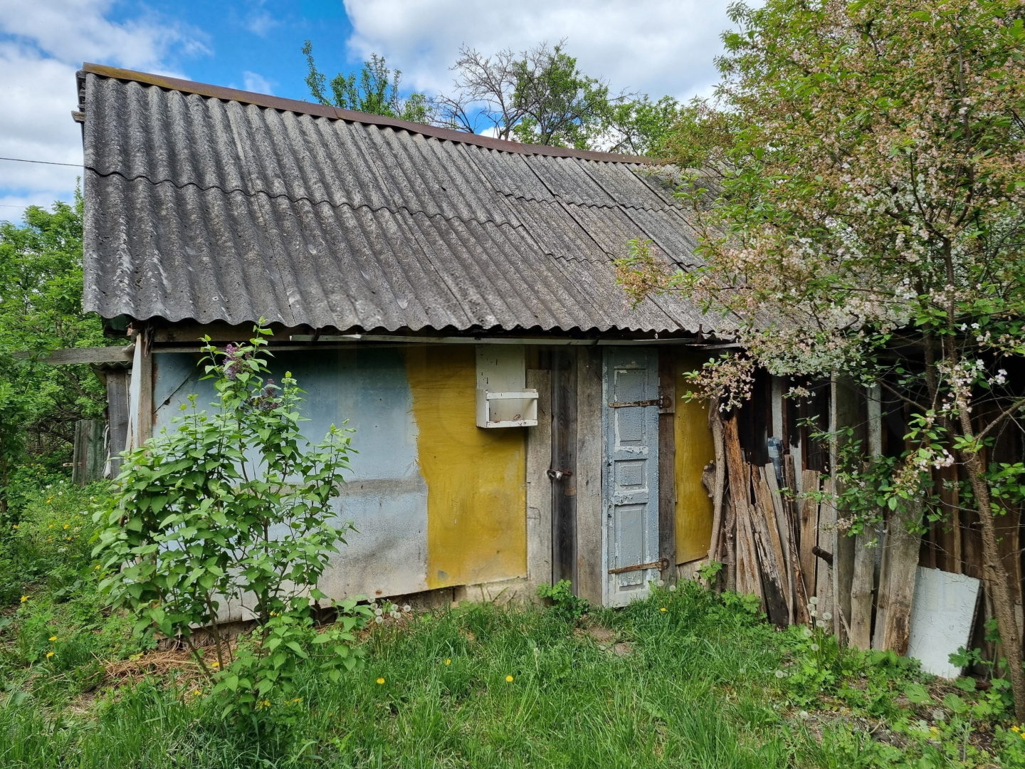 Окремий будинок на великій земельній ділянці в районі Масани. Фото - 12