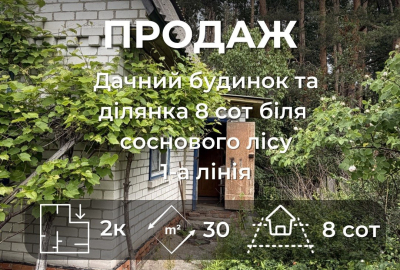 Дача біля соснового лісу — перша лінія, 8 соток, цегла, 2 поверхи