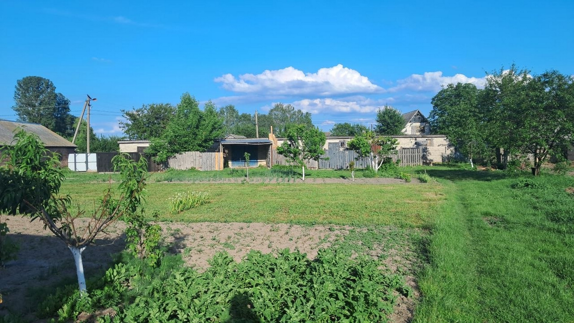Продам 1 кімнатну квартиру 43 м² з земельною ділянкою, підвалом та сараєм у селі Лемеші. Фото - 17