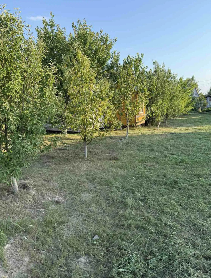 Продається затишна дача в Березанці — 13 соток, сауна, сад та апі-будиночок!. Фото - 10