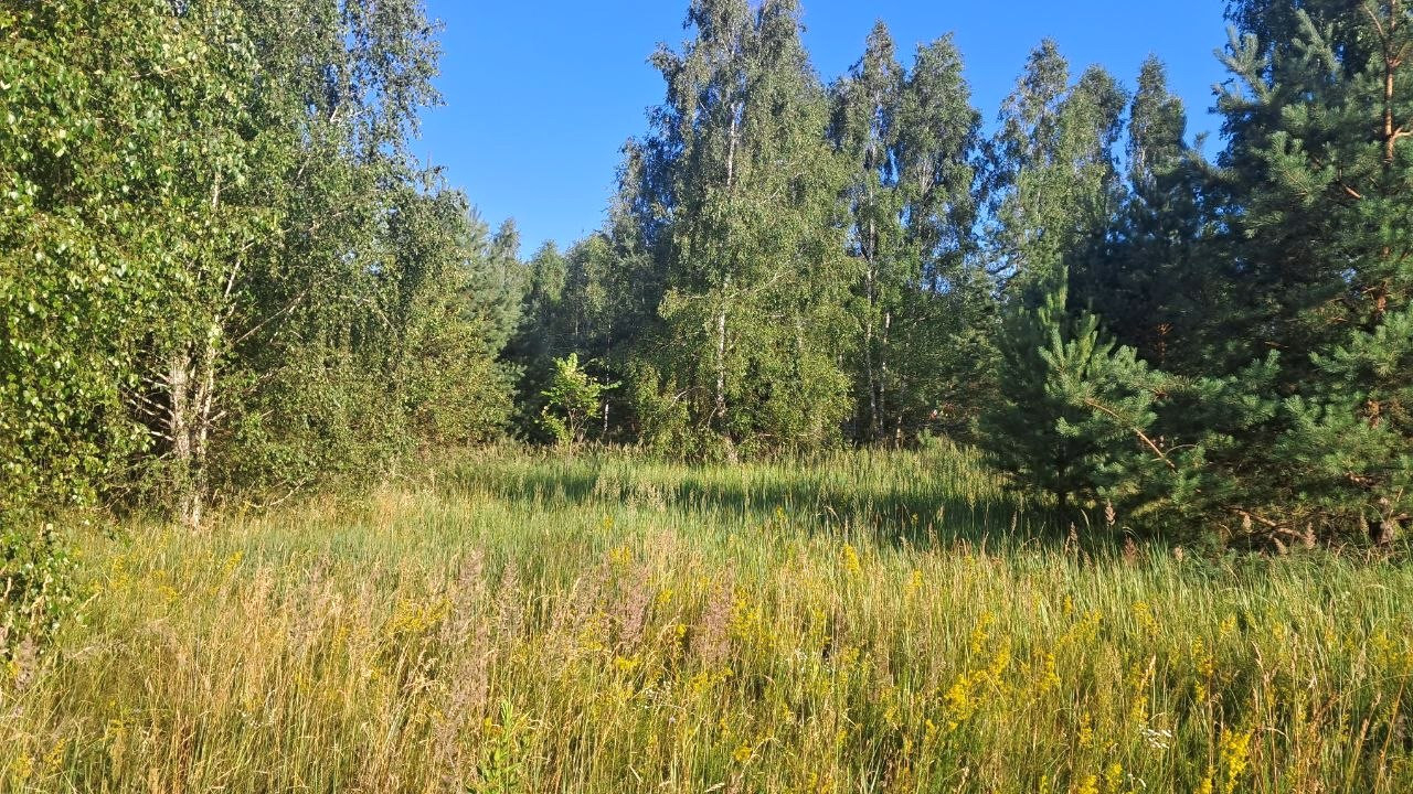 Продам земельну ділянку 15 соток під будівництво передмістя Чернігова. Фото - 9