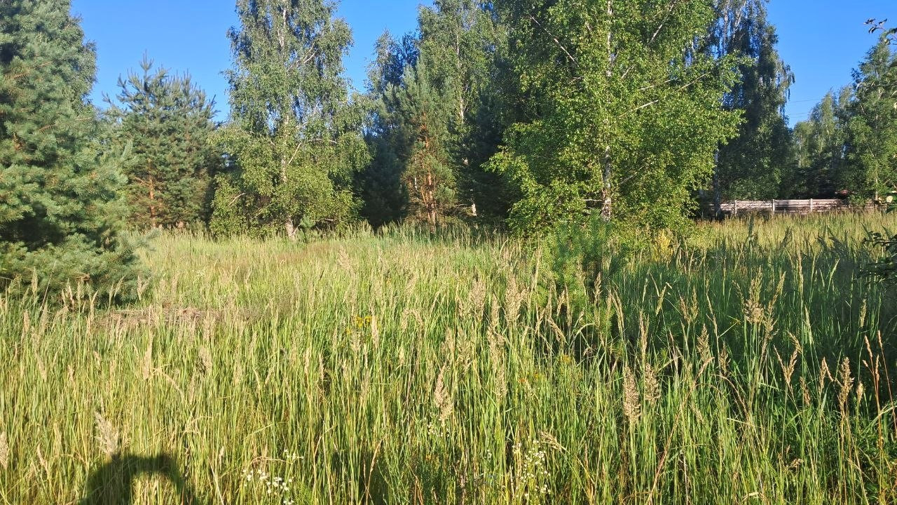 Продам земельну ділянку 15 соток під будівництво передмістя Чернігова. Фото - 8